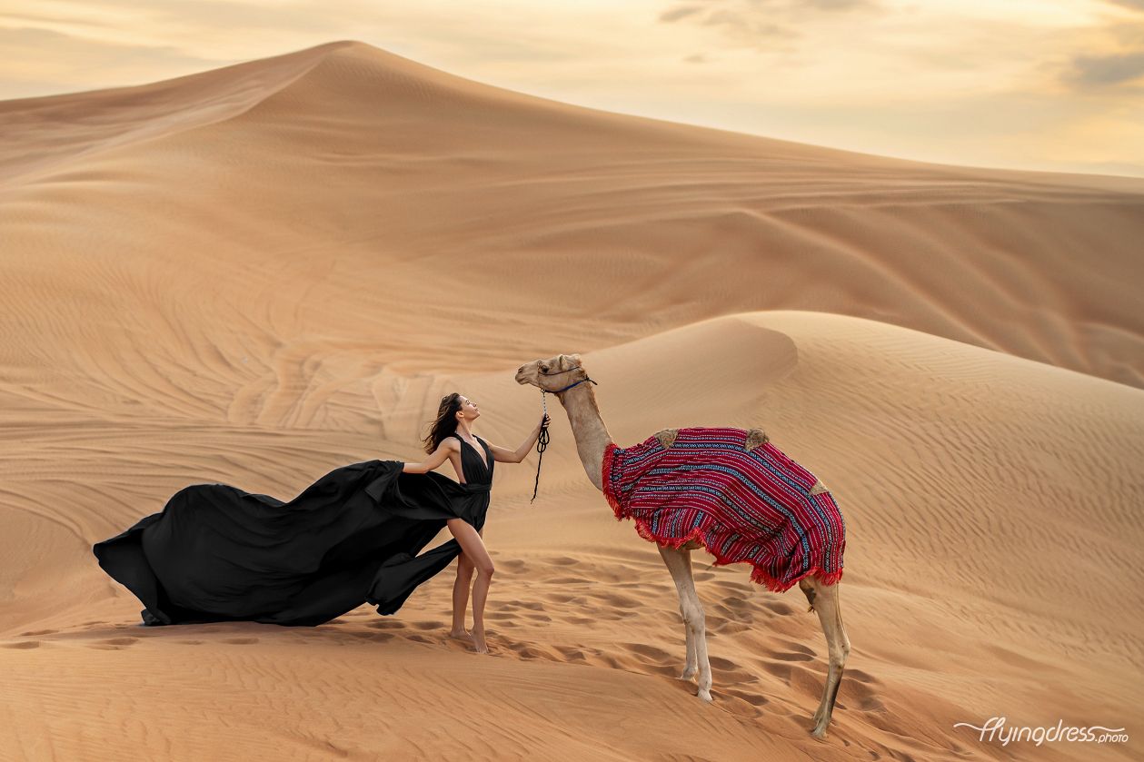 Scenic desert photoshoot featuring a camel as the perfect companion, blending the tranquility of the dunes with the timeless charm of a majestic desert adventure.